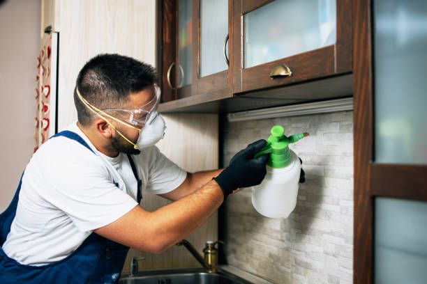Best Flea Control Services  in Valley Center, KS