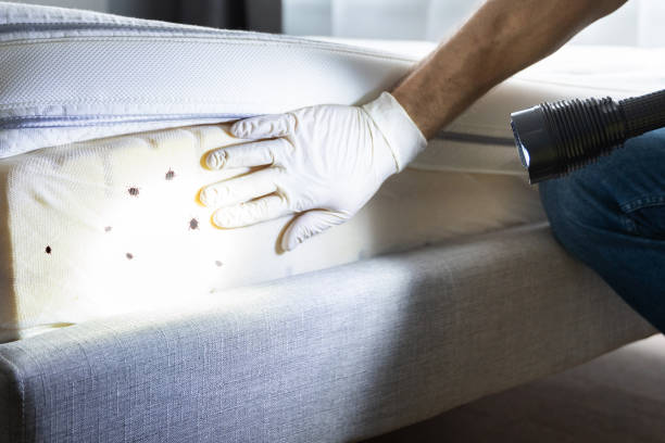 Best Bed Bug Extermination  in Valley Center, KS