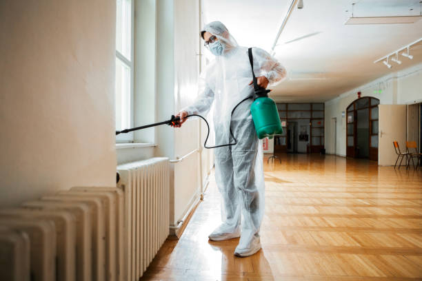 Best Termite Control Services  in Valley Center, KS