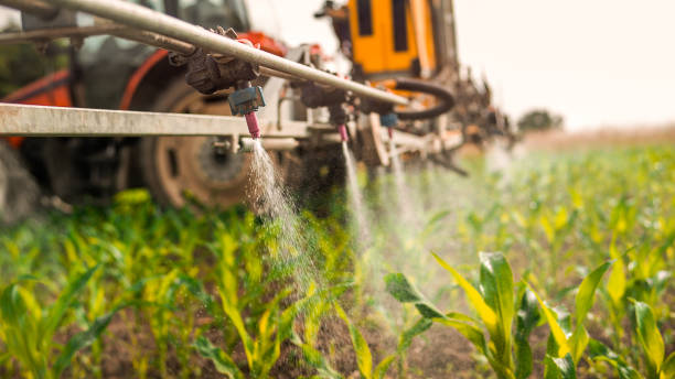 Best Pest Prevention Services  in Valley Center, KS